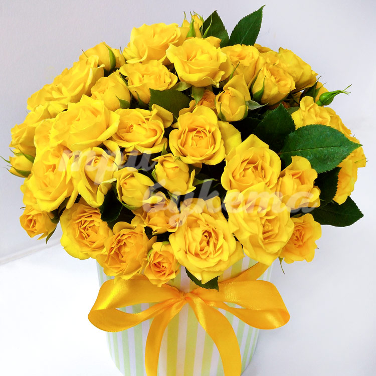 15 кустовых желтых роз в коробке (крупный план)