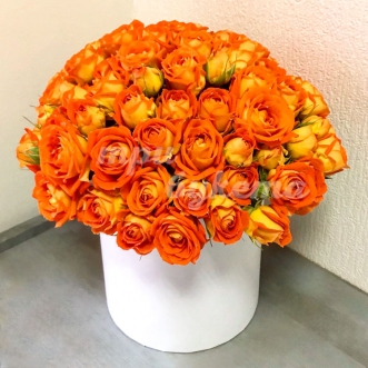 Кустовые оранжевые розы в коробке