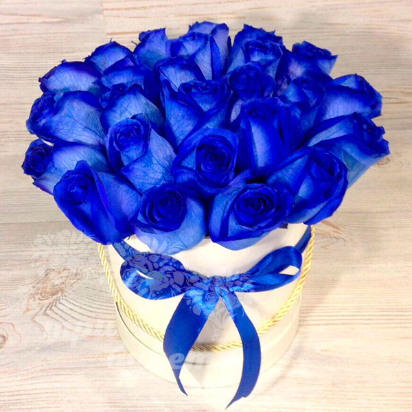 Синие Розы Фото