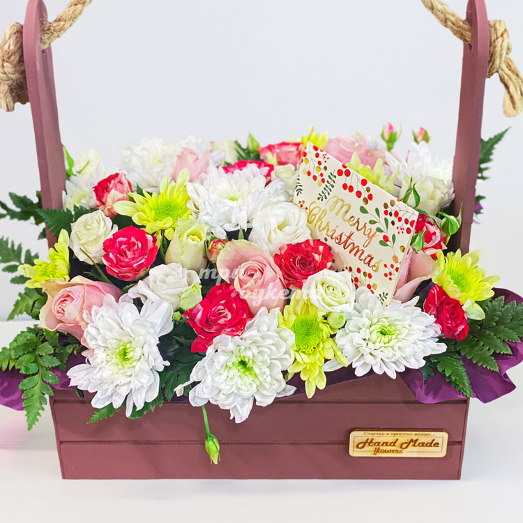 Цветы на Новый год в ящичке (крупный план)