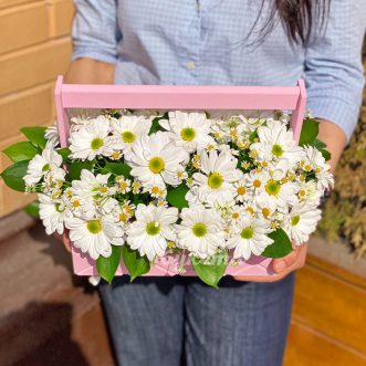 Ромашки и хризантемы в ящике