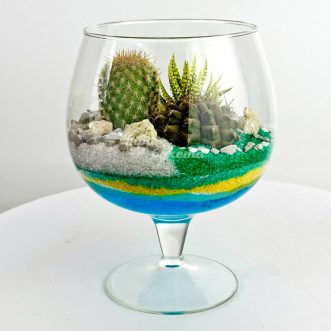Флорариум кубок с кактусами и хавортией